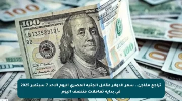 تراجع مفاجئ.. سعر الدولار مقابل الجنيه المصري اليوم الأحد 7 سبتمبر 2025 في بداية تعاملات منتصف اليوم